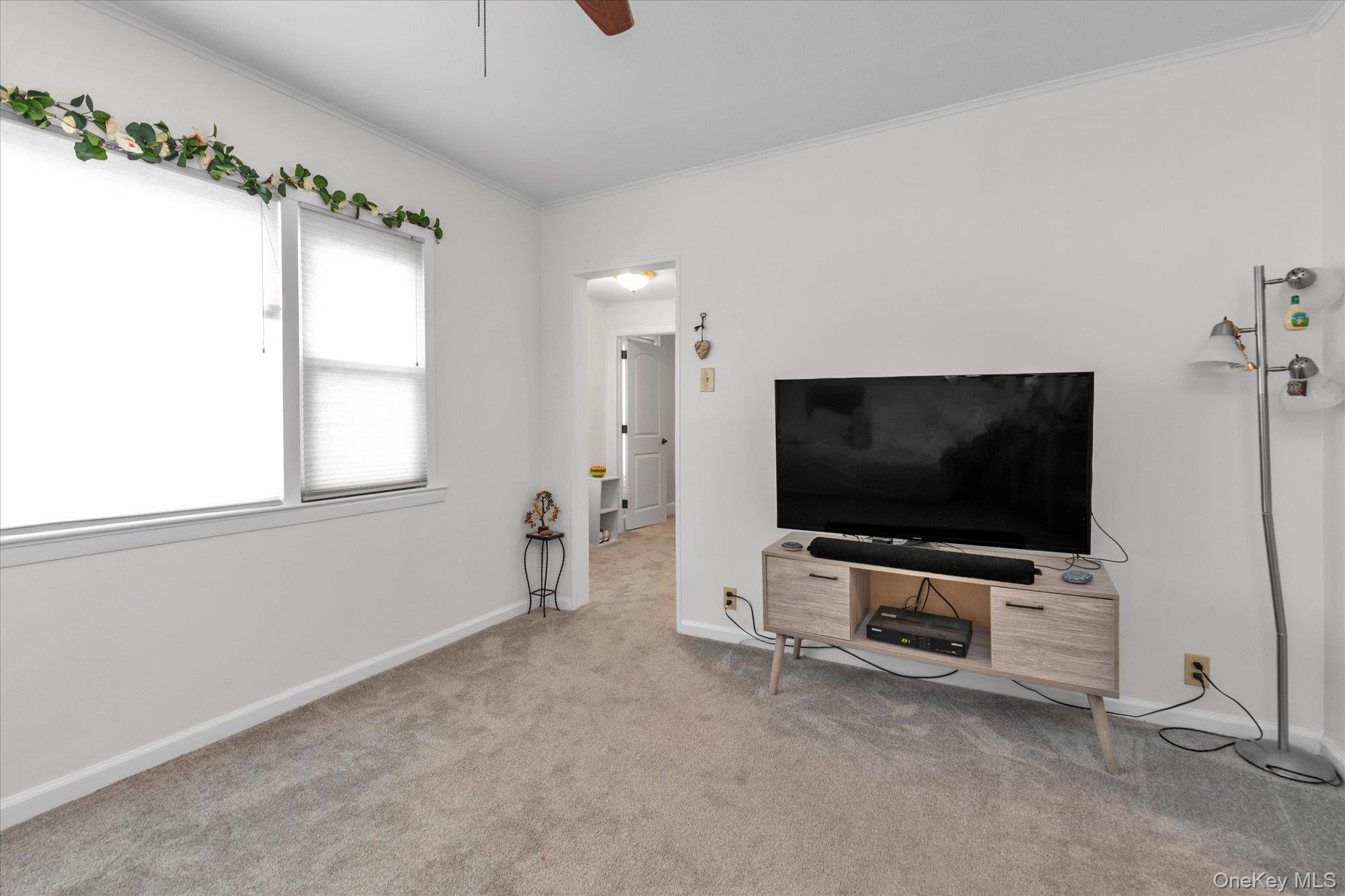 32 5th Street Valley Stream, NY 11581 - Photo 10 of 23 a living room with furniture and a flat screen tv