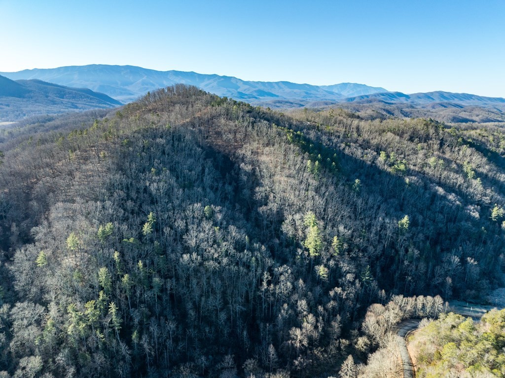 0 Middle Creek Road Cosby, TN 37722 - Photo 23 of 30