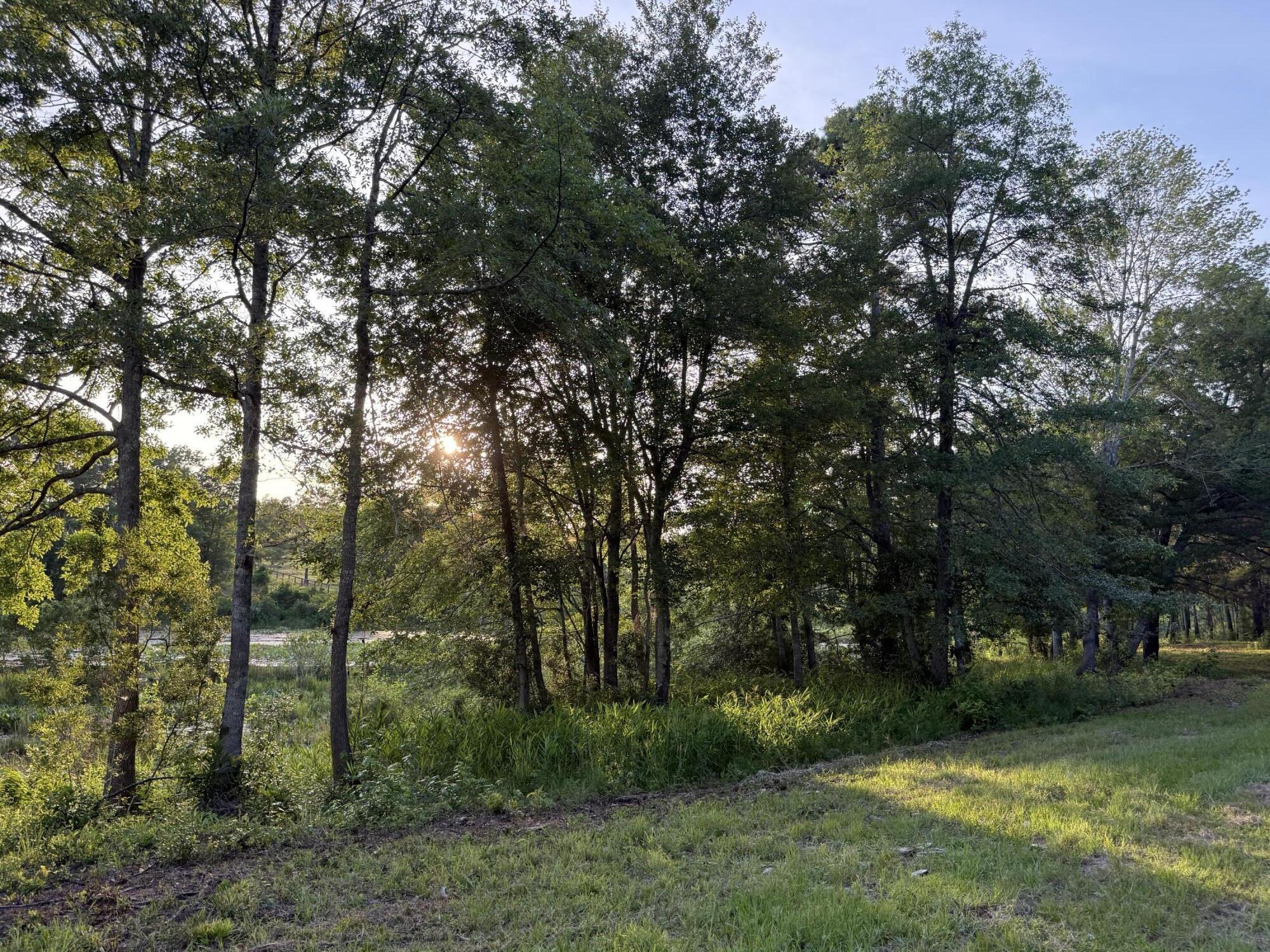 Lot 12 Reeves Street Aiken, SC 29805 - Photo 12 of 22
