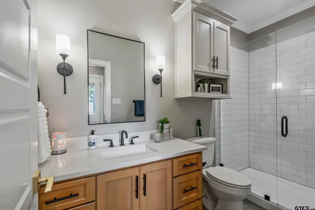 a bathroom with a granite countertop sink a toilet and a mirror