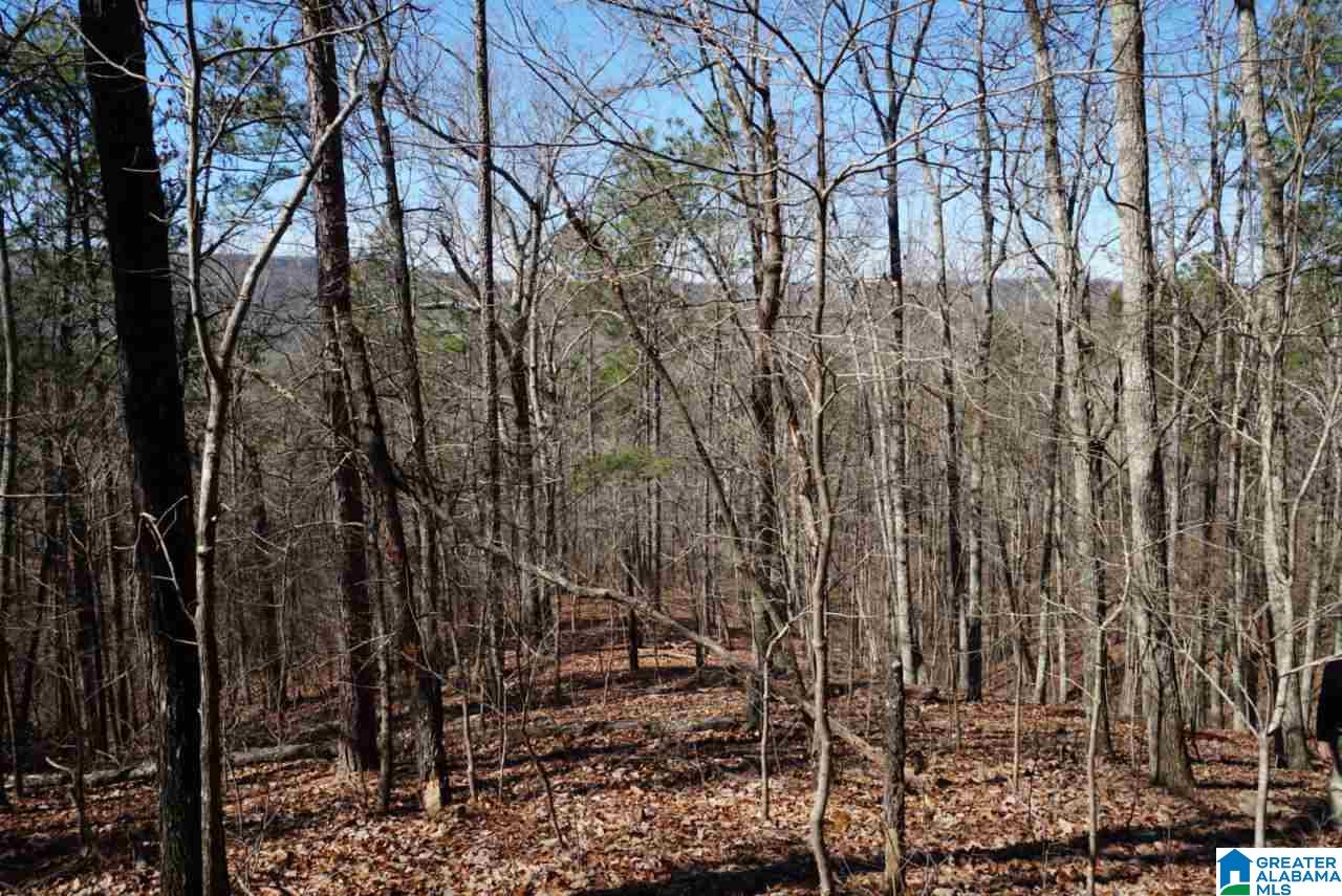 Mystic Valley View, Unit 1 Sterrett, AL 35147 - Photo 33 of 33