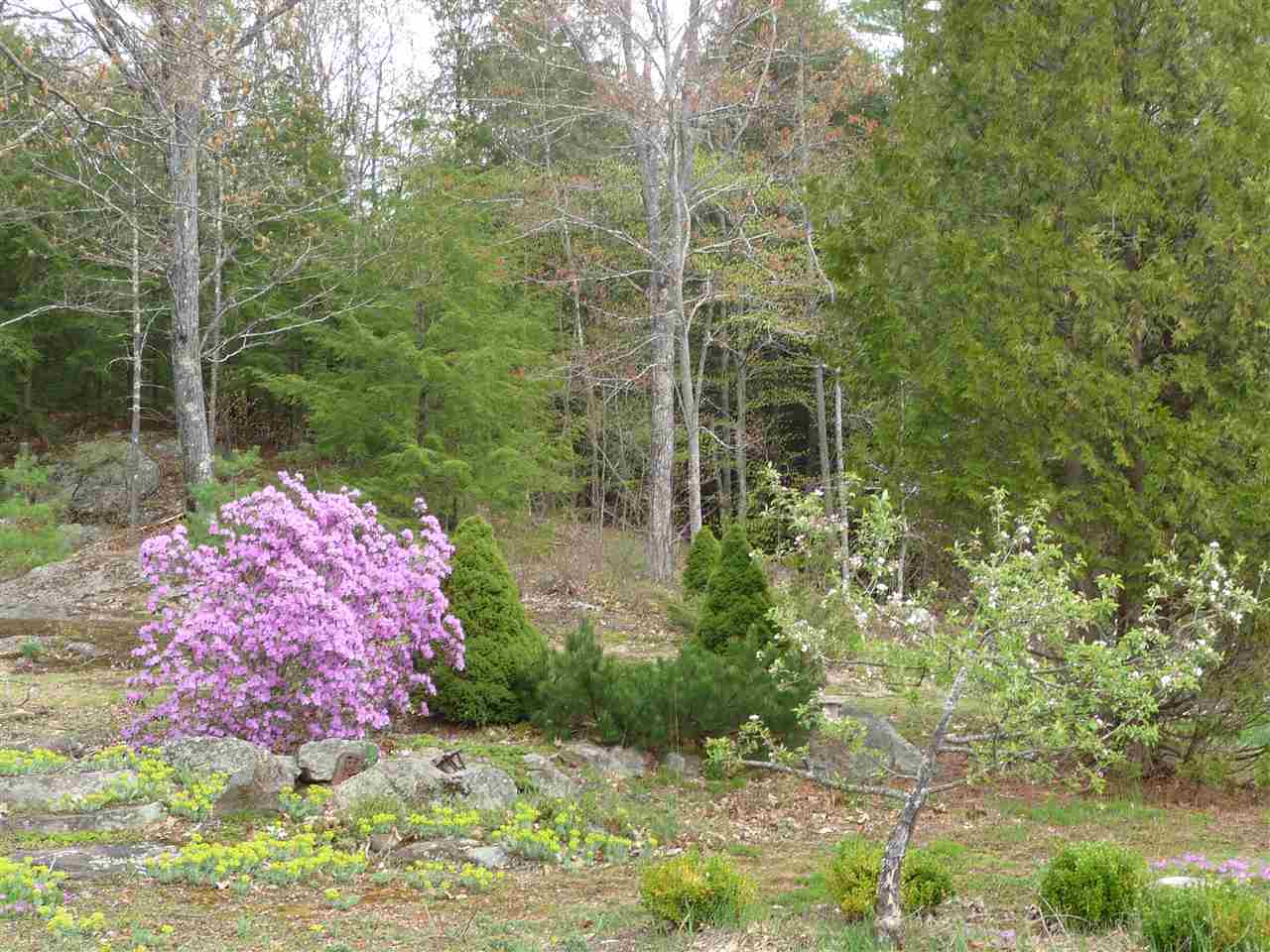 417 Webster Mills Road Pittsfield, NH 03263 - Photo 32 of 36