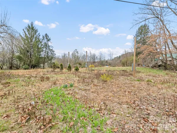 a view of a yard with a house