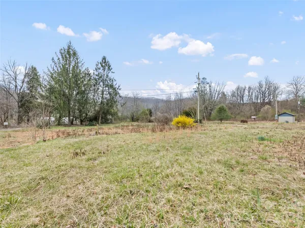 a backyard of a house with lots of green space