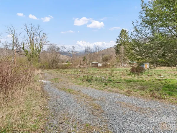 a view of a yard with trees