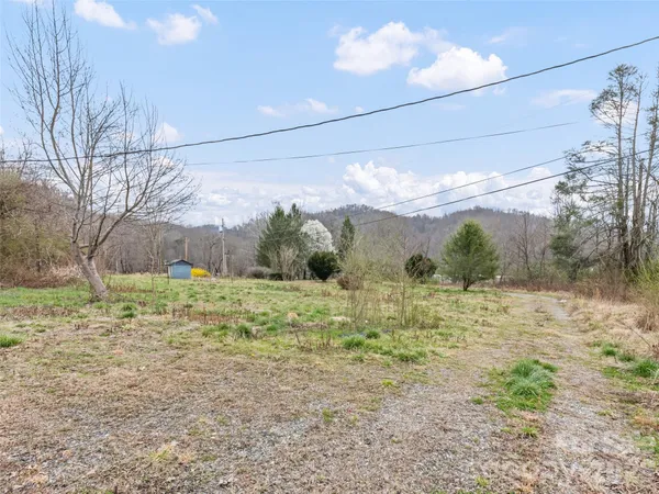 a view of a yard and a tree