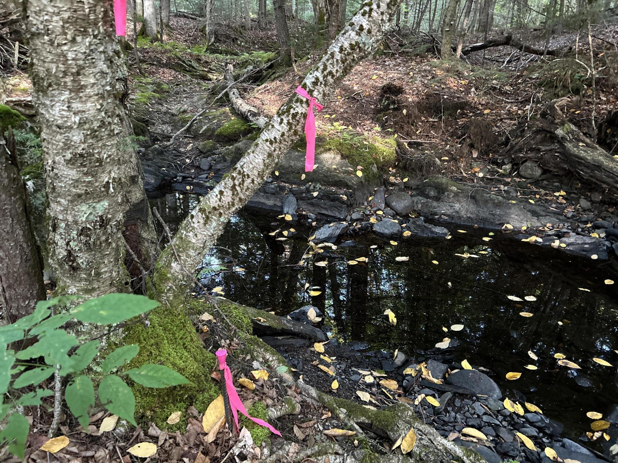 M4-l14 Village Road Jackson, ME 04921 - Photo 10 of 37