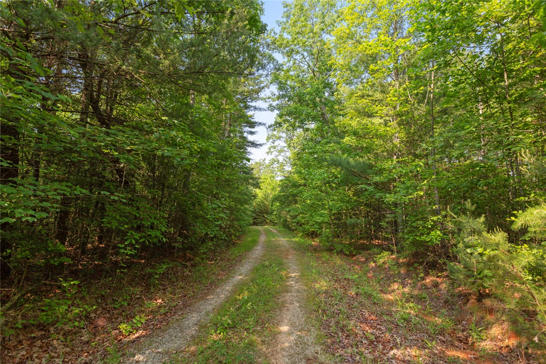 0 Homeland Drive Mountain Rest, SC 29664 - Photo 11 of 15