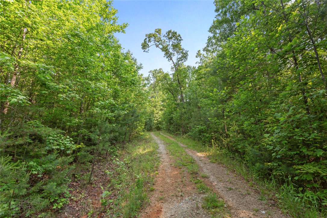 0 Homeland Drive Mountain Rest, SC 29664 - Photo 12 of 15