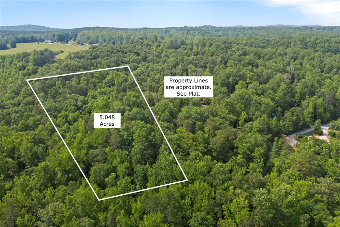 0 Homeland Drive Mountain Rest, SC 29664 - Photo 3 of 15