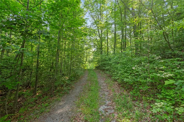 $275,498 | 0 Homeland Drive, Mountain Rest, SC 29664