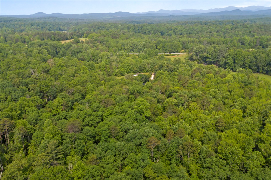 0 Homeland Drive Mountain Rest, SC 29664 - Photo 6 of 15