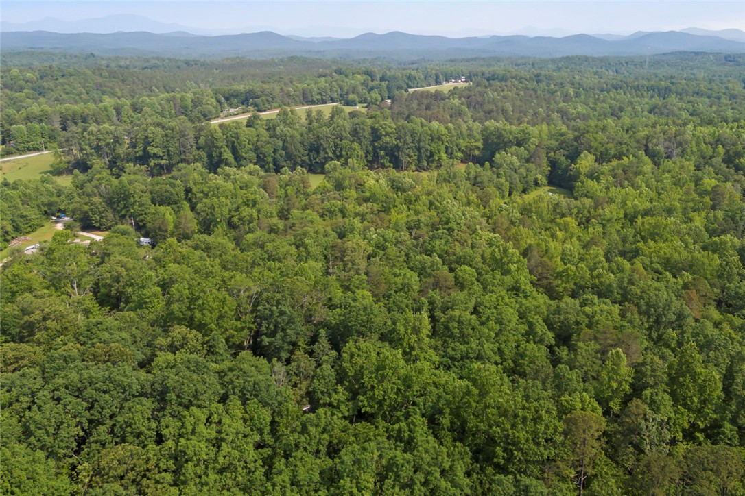 0 Homeland Drive Mountain Rest, SC 29664 - Photo 7 of 15
