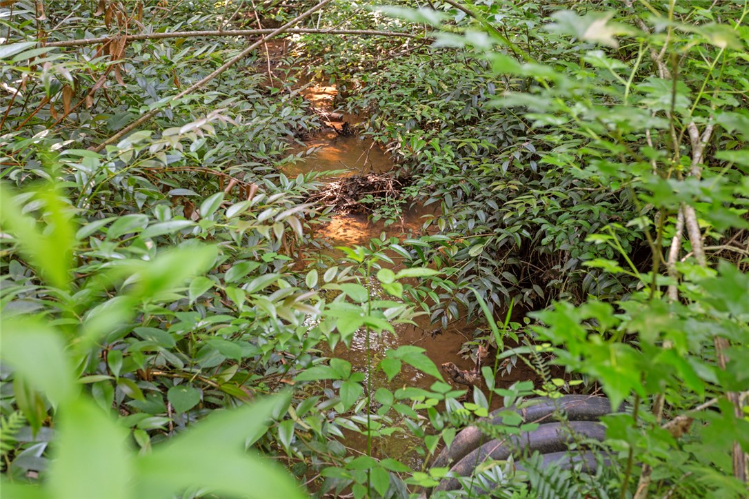 0 Homeland Drive Mountain Rest, SC 29664 - Photo 9 of 15
