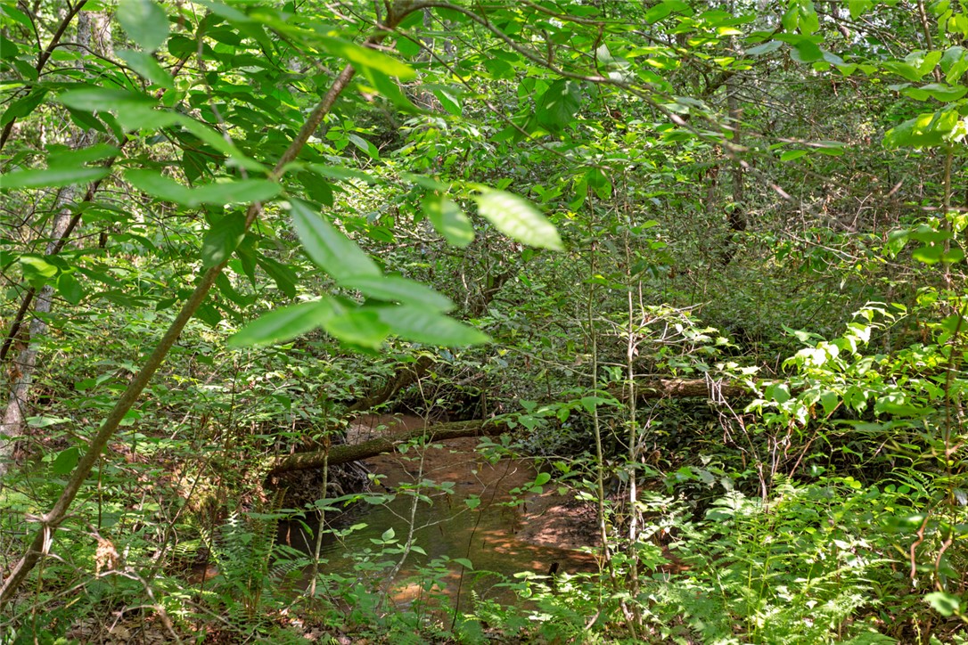 0 Homeland Drive Mountain Rest, SC 29664 - Photo 10 of 15