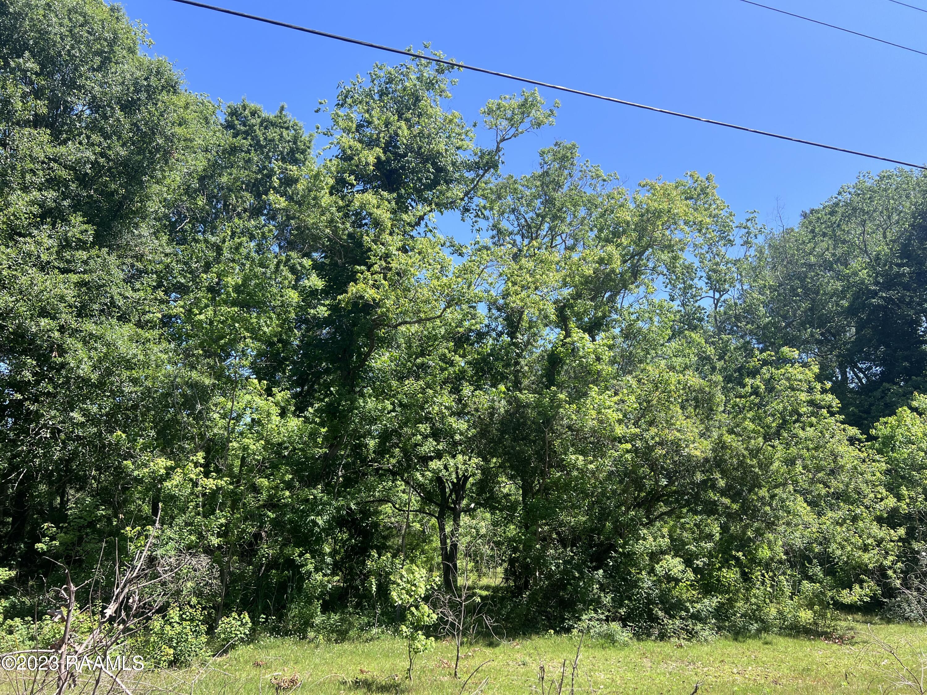 Tbd Linden Lewis Road Youngsville, LA 70592 - Photo 1 of 4
