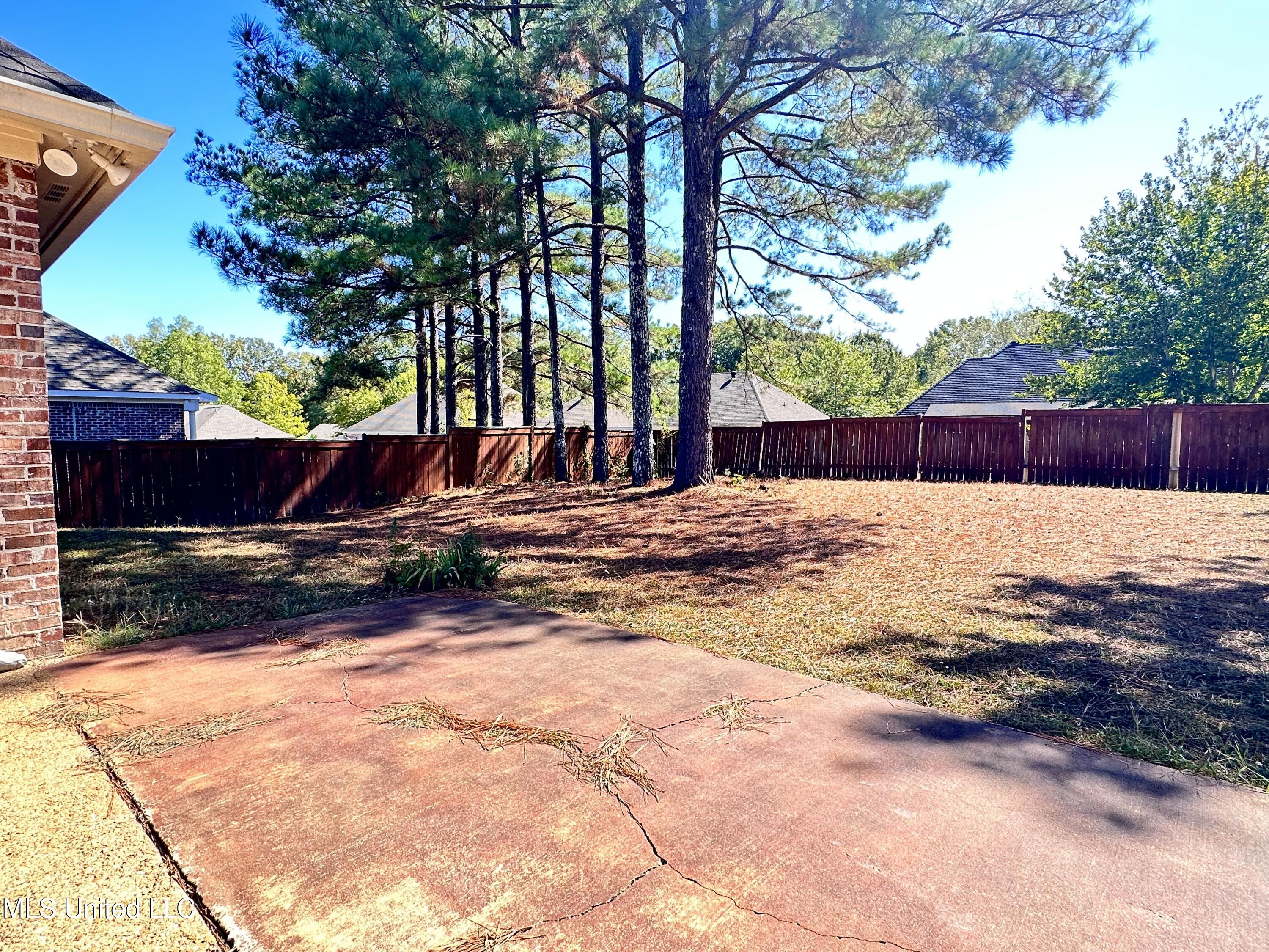 122 Seville Way Madison, MS 39110 - Photo 14 of 16 IMG_3533