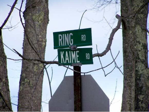 Lot 9-63 Ring Road Chichester, NH 03258 - Photo 3 of 9