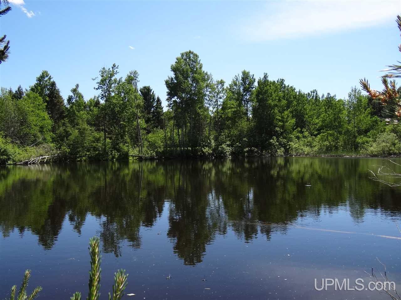 Tbd Walstrom Road Atlantic Mine, MI 49905 - Photo 12 of 23 Gallery Image 12