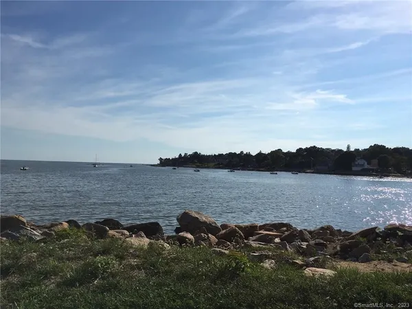 a view of a lake in a field