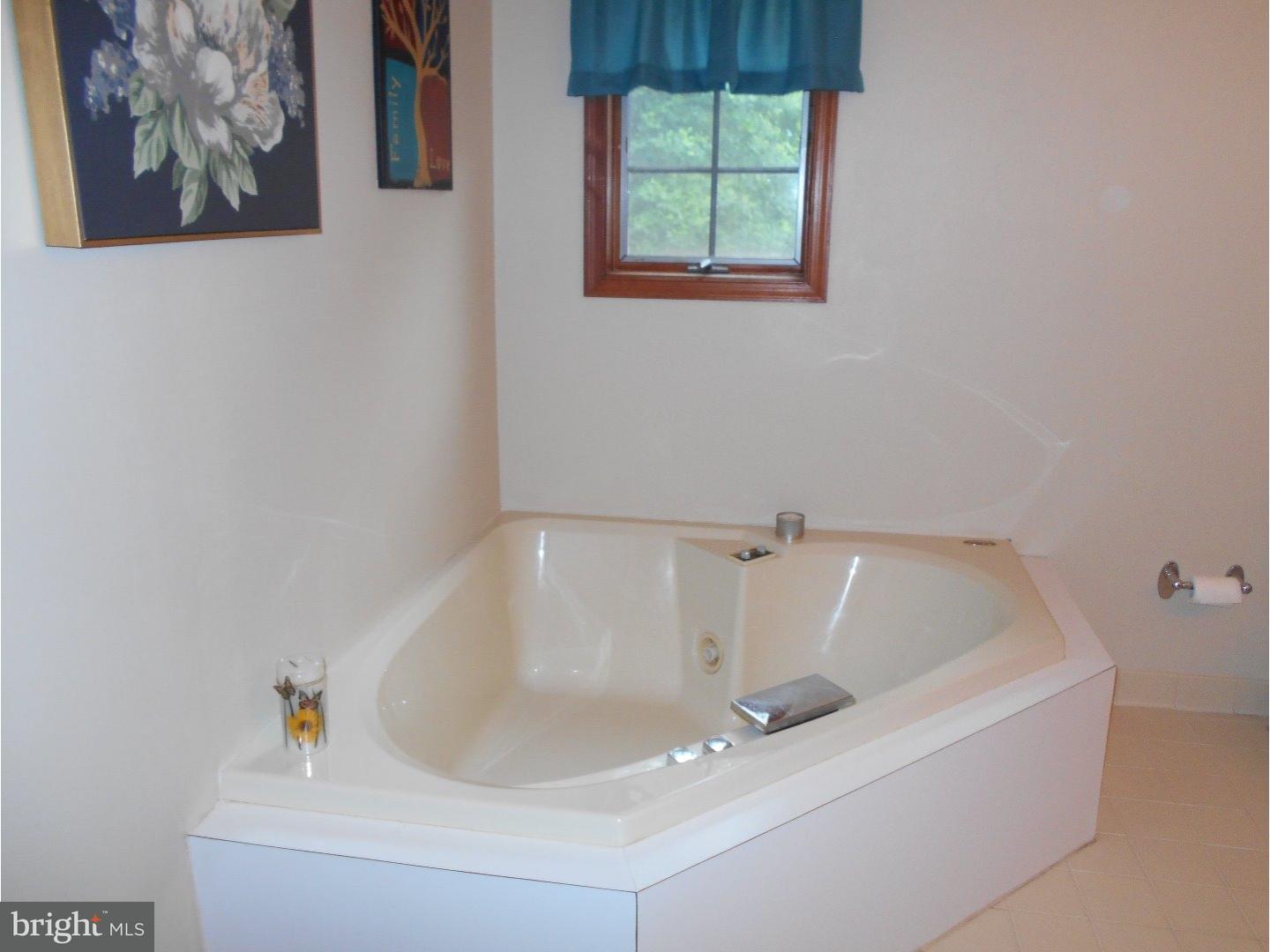 323 Whites Mill Road Green Lane, PA 18054 - Photo 14 of 22 Gallery Image 14