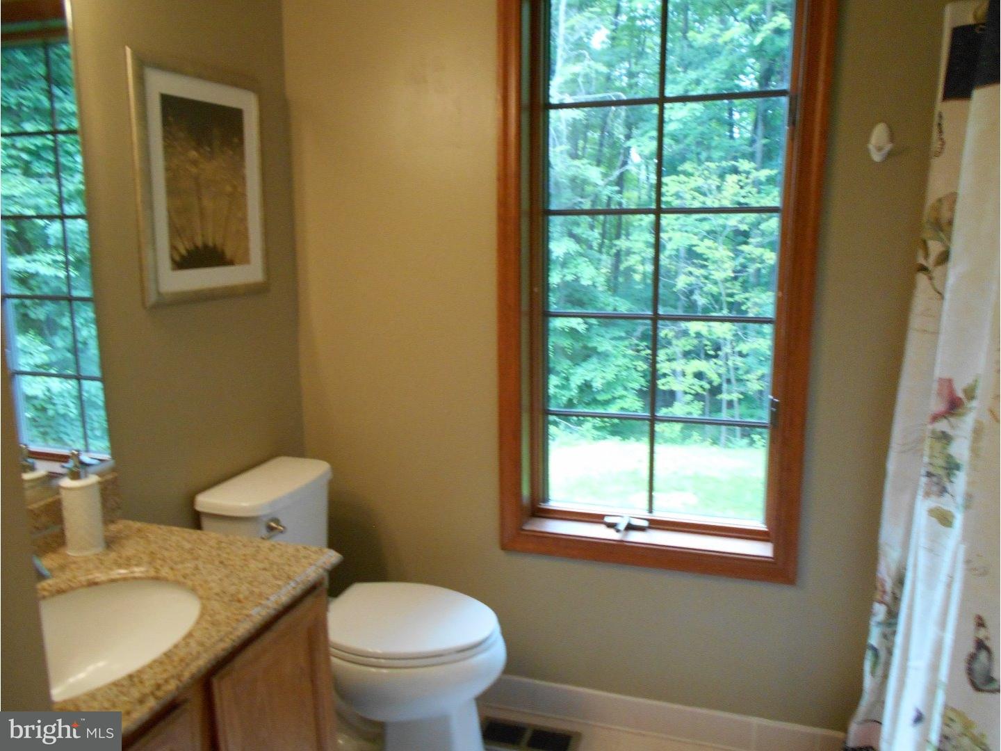 323 Whites Mill Road Green Lane, PA 18054 - Photo 16 of 22 Gallery Image 16