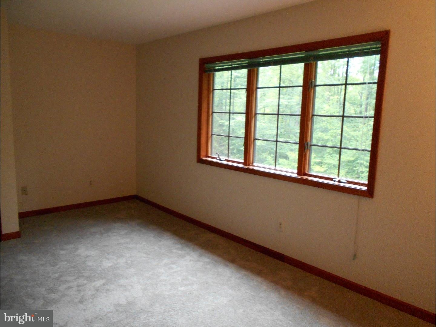 323 Whites Mill Road Green Lane, PA 18054 - Photo 19 of 22 Gallery Image 19