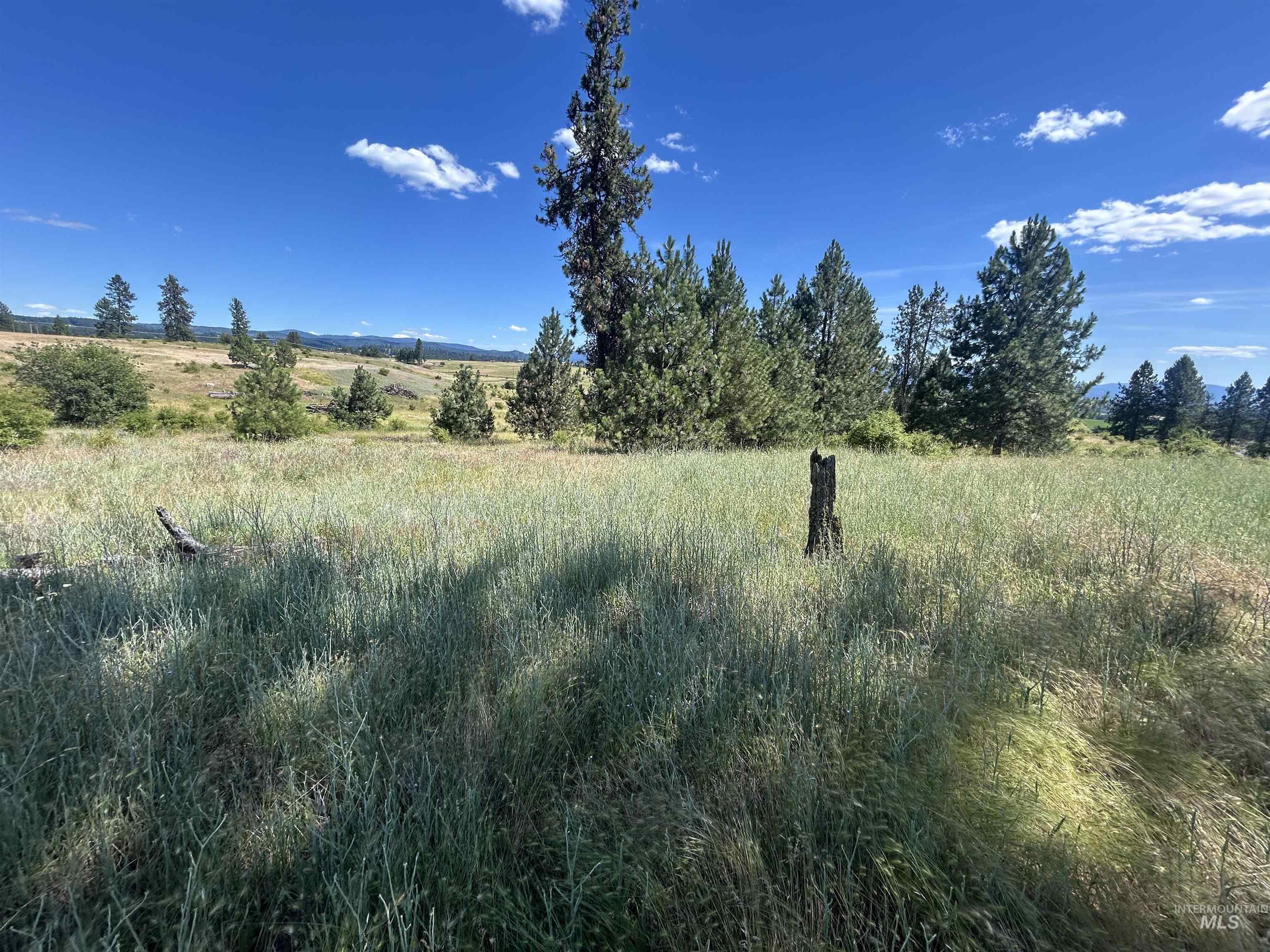 Tbd Lot 1 Tbd Road Kooskia, ID 83539 - Photo 10 of 13