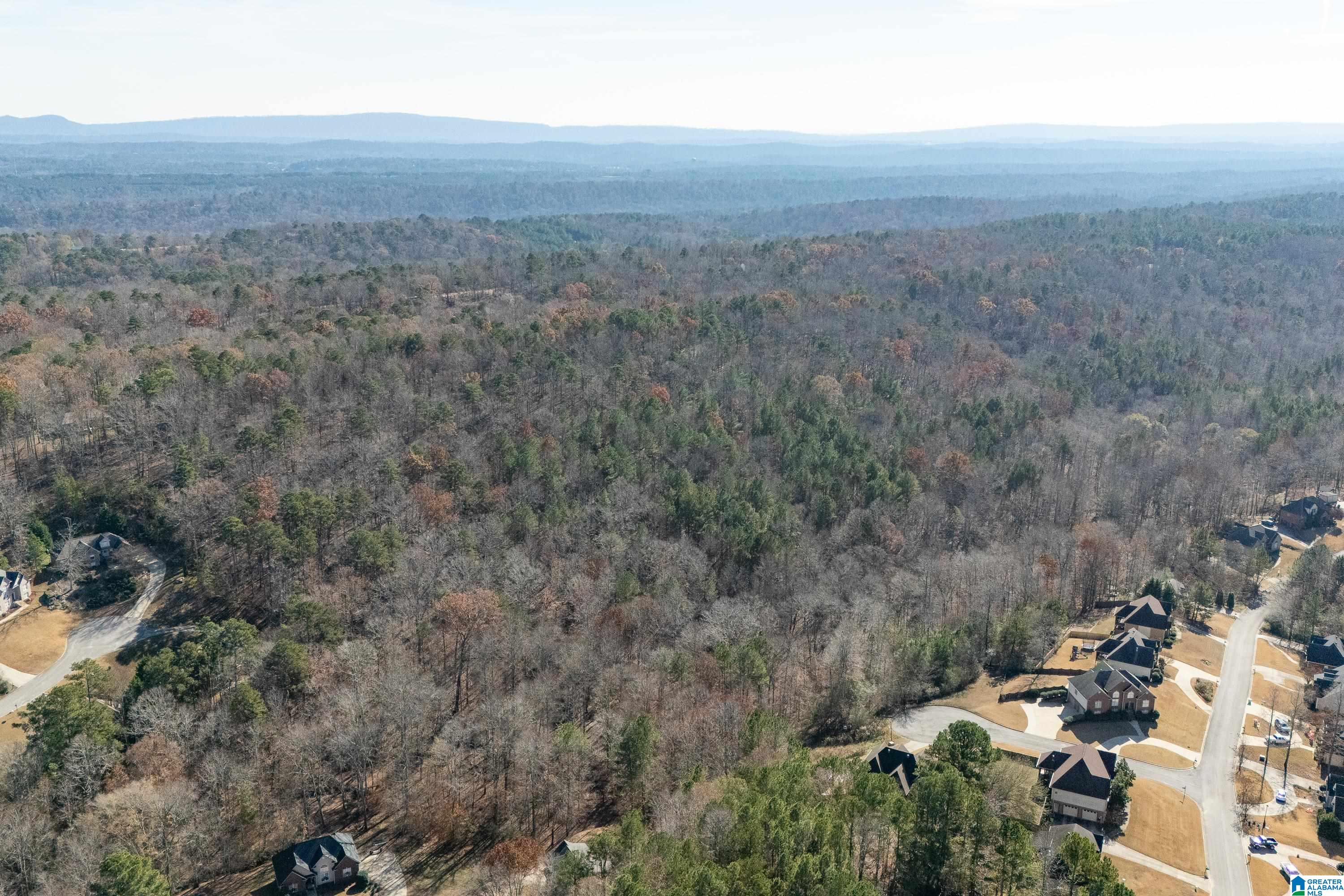 65 Ridgecrest Lane Trussville, AL 35173 - Photo 82 of 84