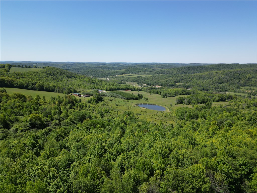1069 Bollen Road, Unit 1066 Troupsburg, NY 14885 - Photo 19 of 19