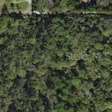 1036 Huntsville Road Odessa, FL 33556 - Photo 1 of 1 Gallery Image 1