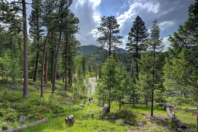 a green field with lots of trees