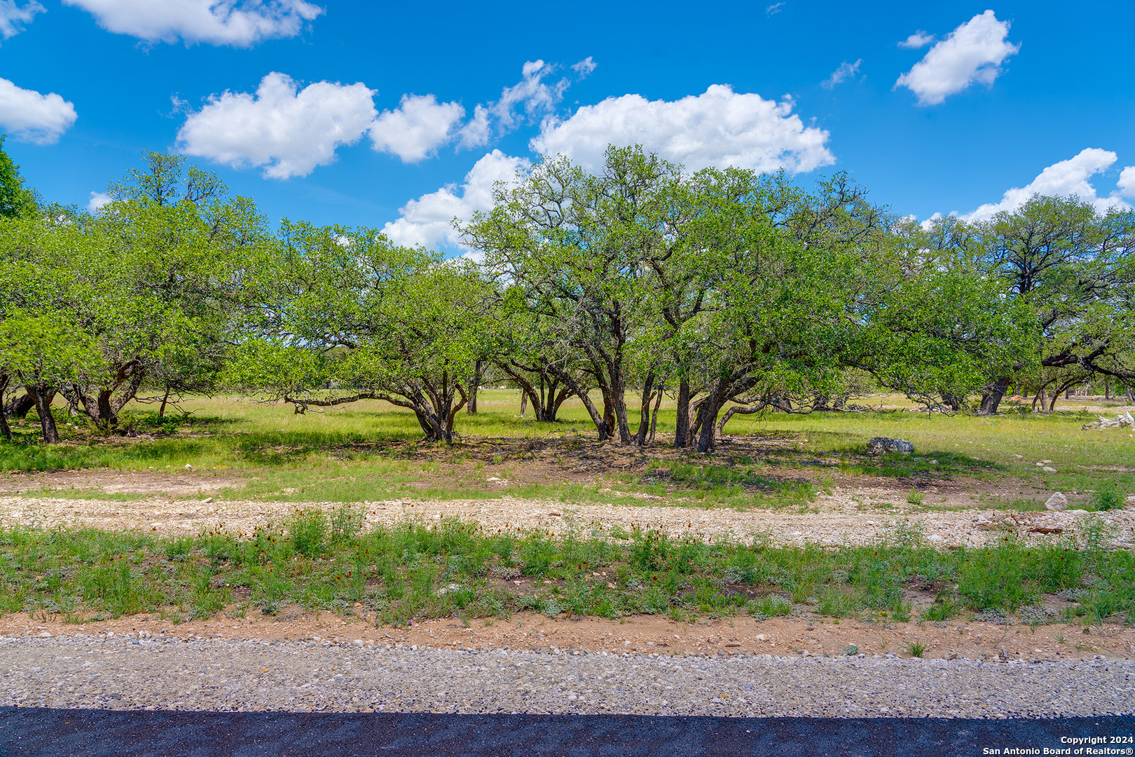 783 Ranch To Market Road 783 Harper, TX 78631 - Photo 13 of 24