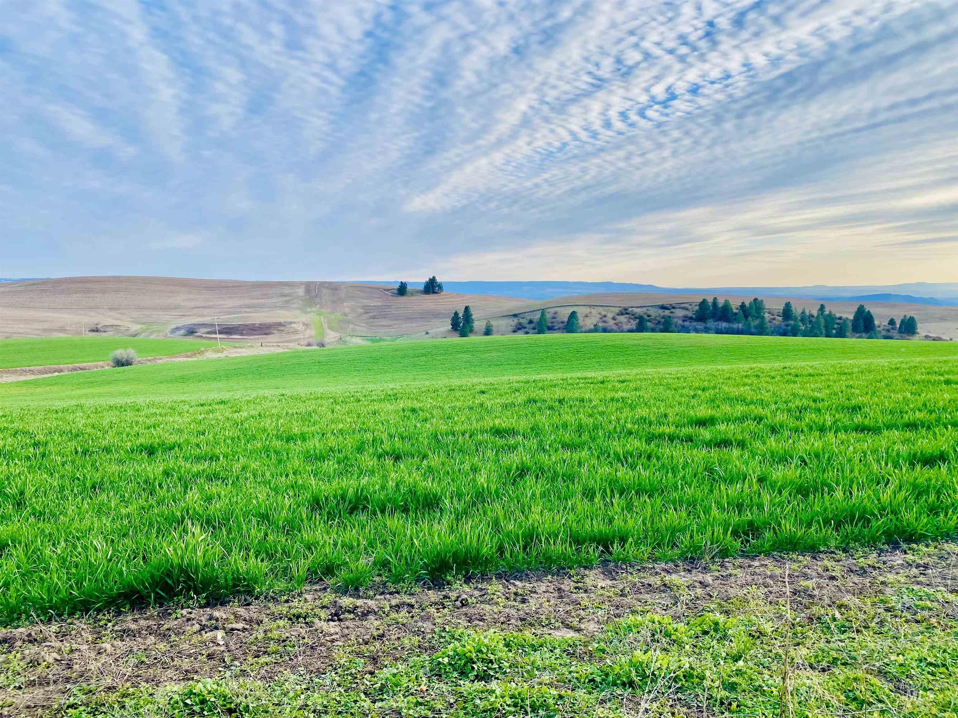 16078 Hoffman Road Kendrick, ID 83537 - Photo 24 of 29 Kitchen featuring light brown cabinetry, light countertops, appliances with stainless steel finishes, light wood-style flooring, and recessed lighting