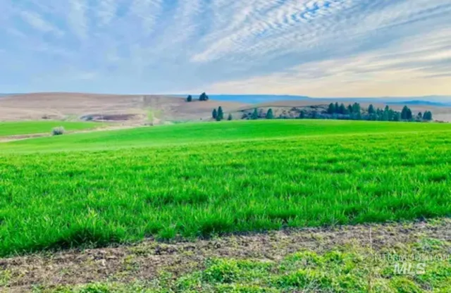 $545,000 | 16078 Hoffman Road, Kendrick, ID 83537