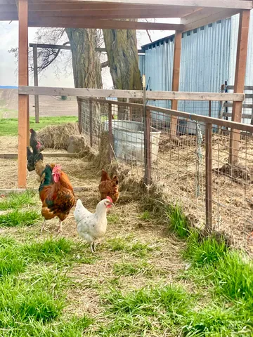 $550,000 | 16078 Hoffman Road, Kendrick, ID 83537