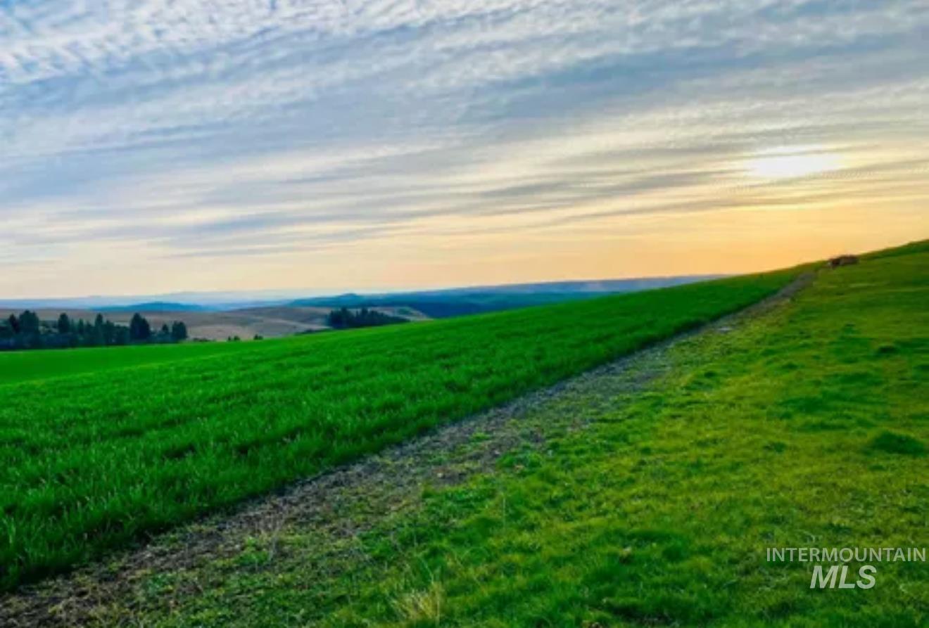 16078 Hoffman Road Kendrick, ID 83537 - Photo 27 of 29 Bungalow featuring a front yard