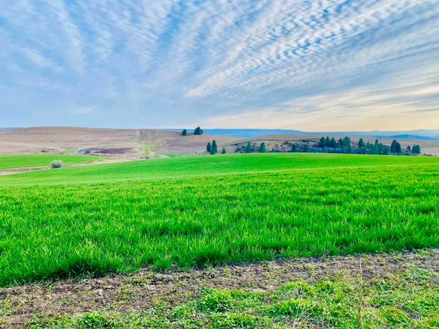 $550,000 | 16078 Hoffman Road, Kendrick, ID 83537