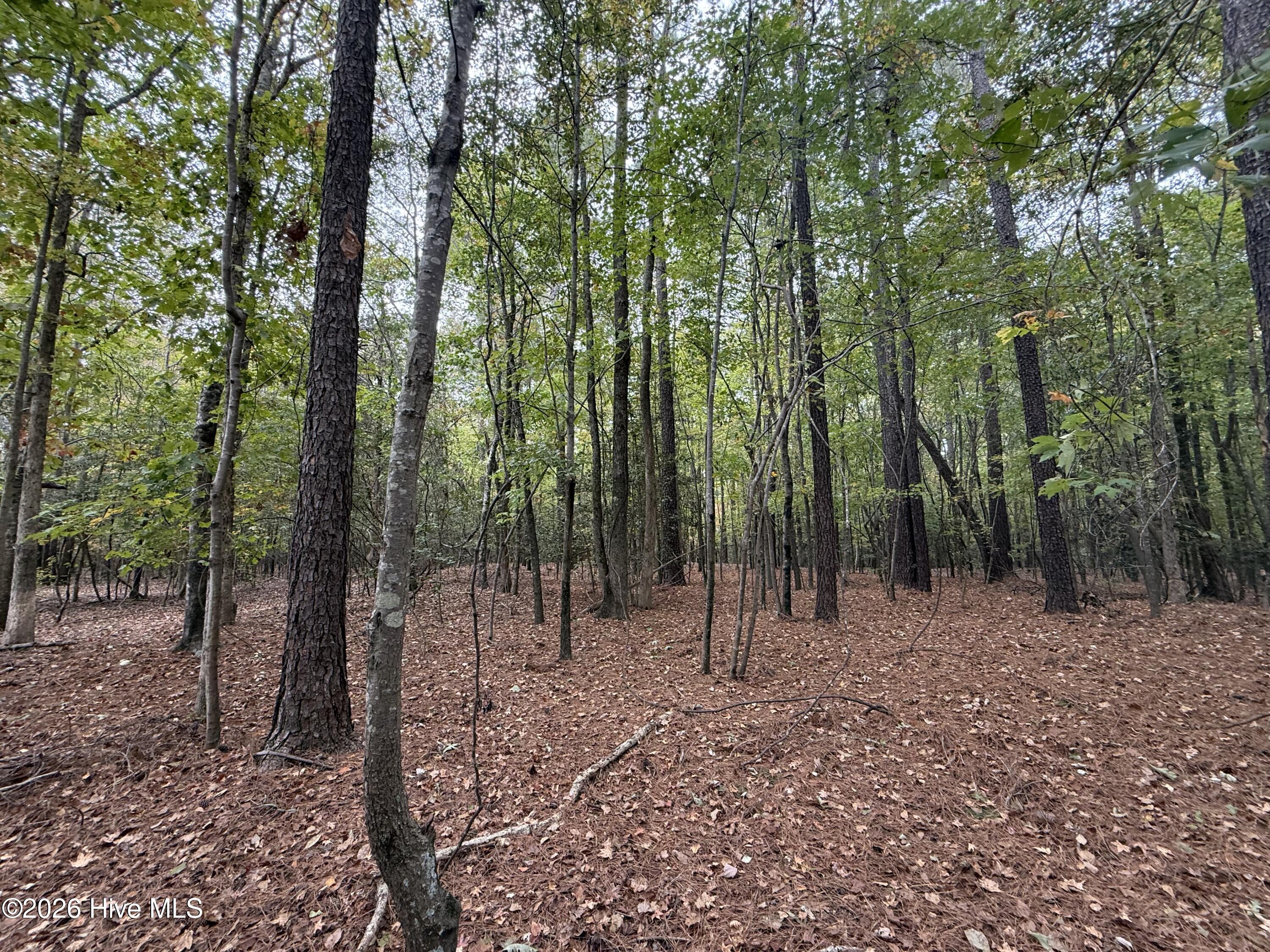 119 Bessie Road Carthage, NC 28327 - Photo 35 of 39
