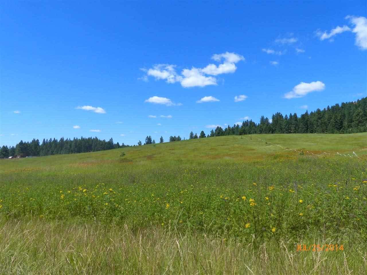 0 North Scribner Branch Road Spokane, WA 99217 - Photo 1 of 4