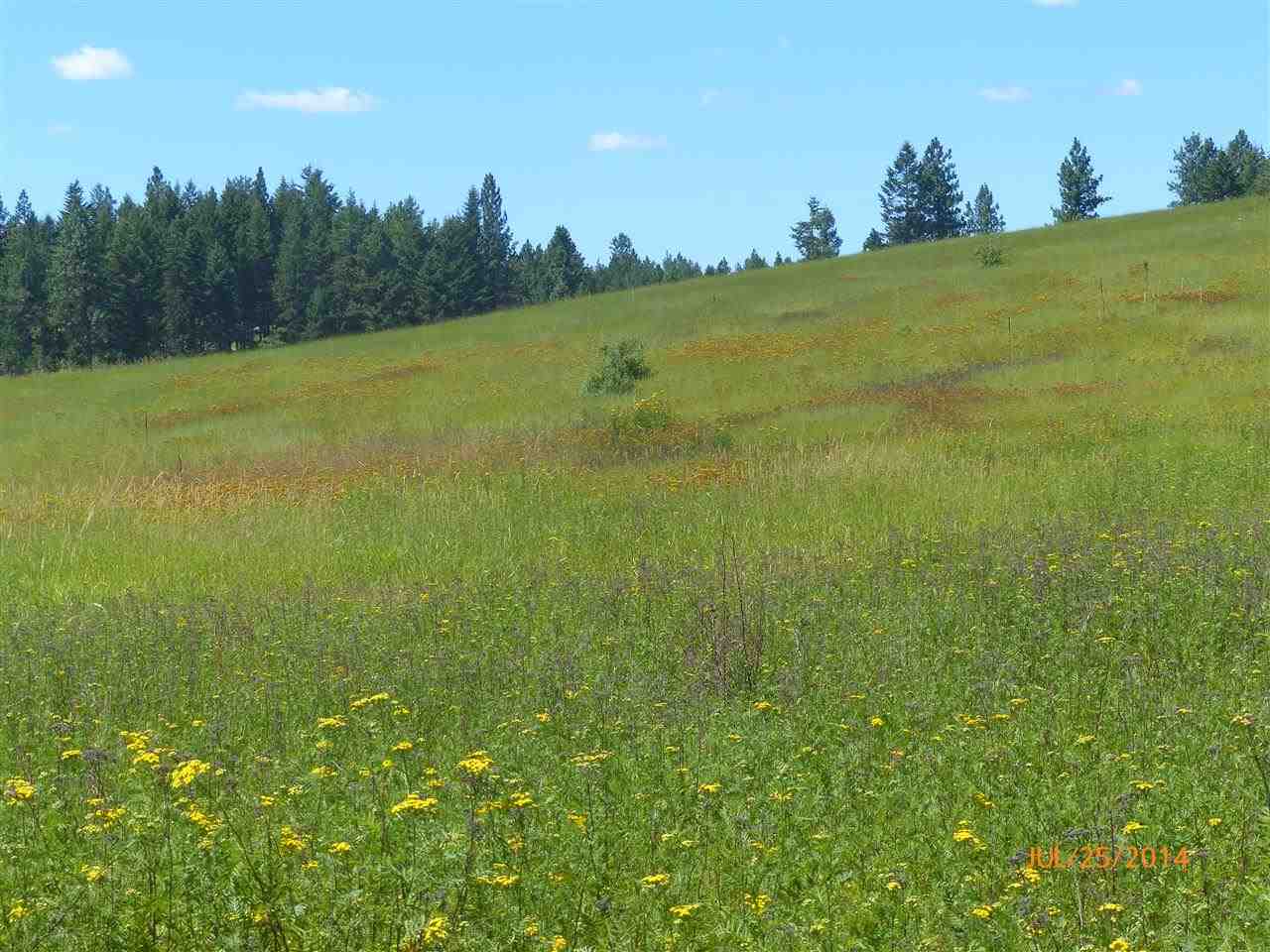 0 North Scribner Branch Road Spokane, WA 99217 - Photo 3 of 4