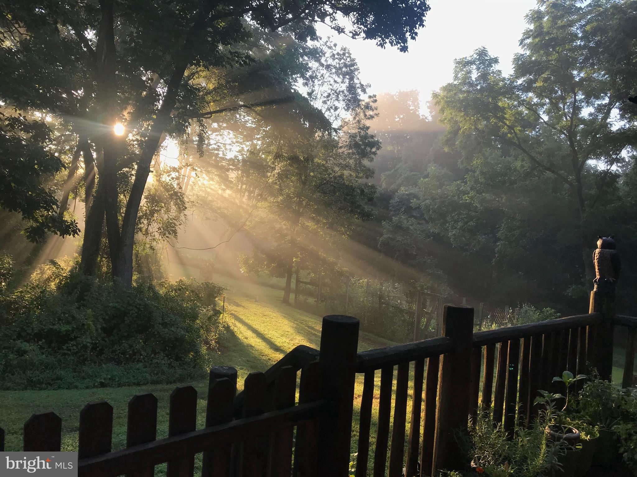 504 Darlington Road Media, PA 19063 - Photo 12 of 26 View from Deck