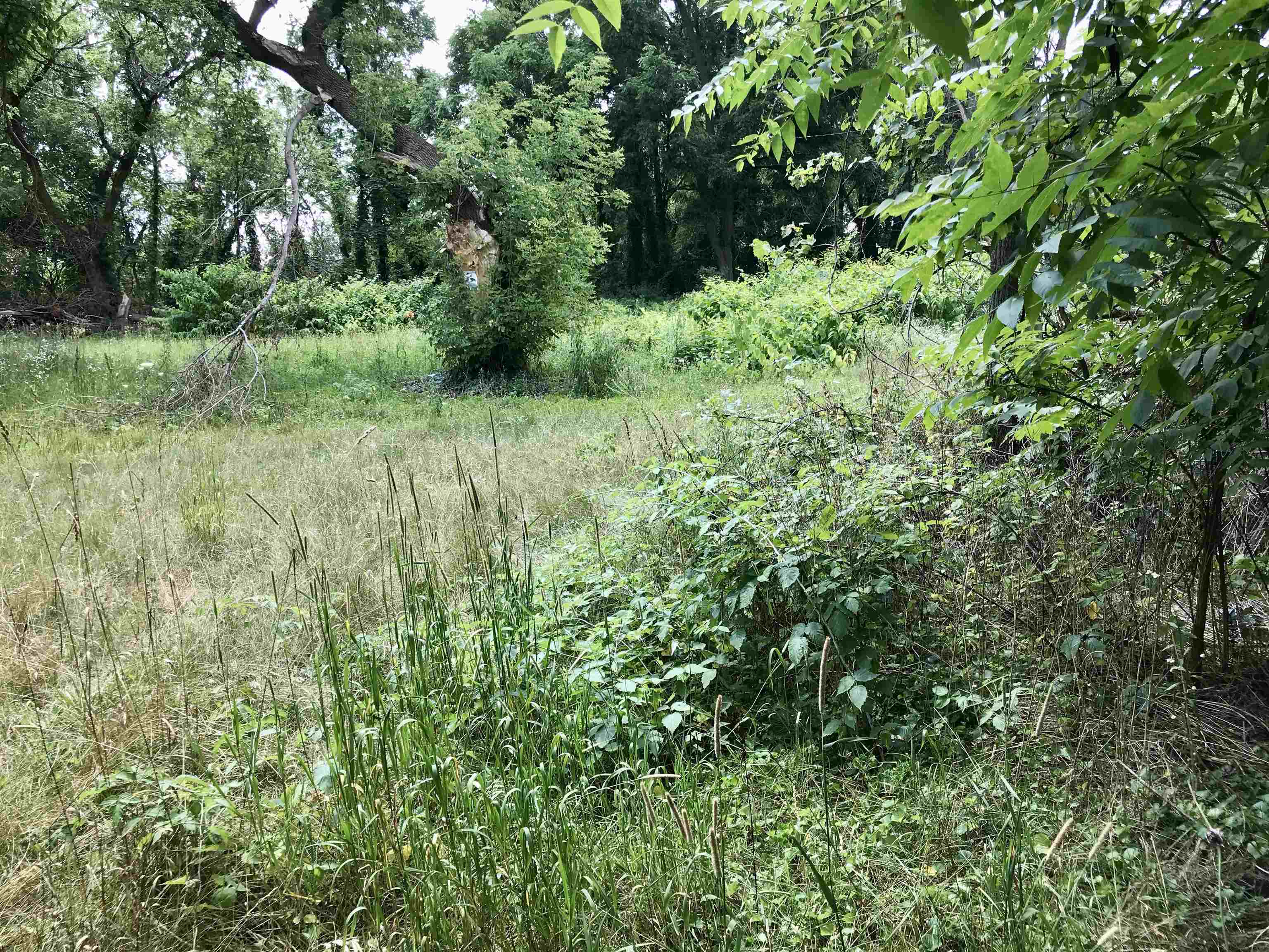 3382 South Isabella Road Mount Pleasant, MI 48858 - Photo 6 of 10 1925083-a88459c5-34fc-4dea-95b5-cf4a962cc3d4.JPG