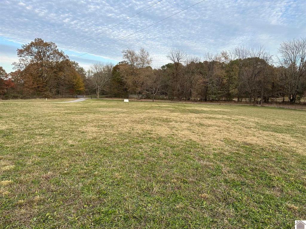 2525 Jimtown Road Mayfield, KY 42066 - Photo 11 of 29 134710-082a6ee6-713e-4143-be06-0e6d1a370