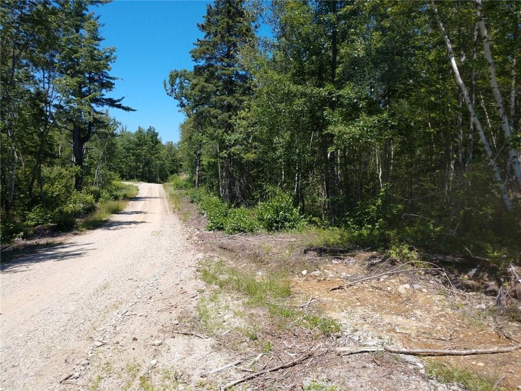 L50 Salmon Road Cherryfield, ME 04622 - Photo 10 of 11 Photo