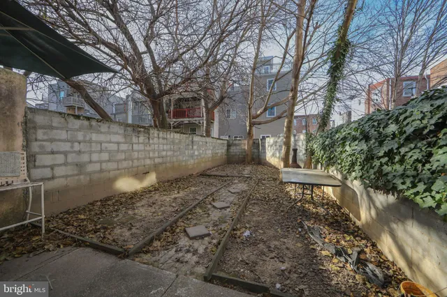 a view of a yard with plants and trees