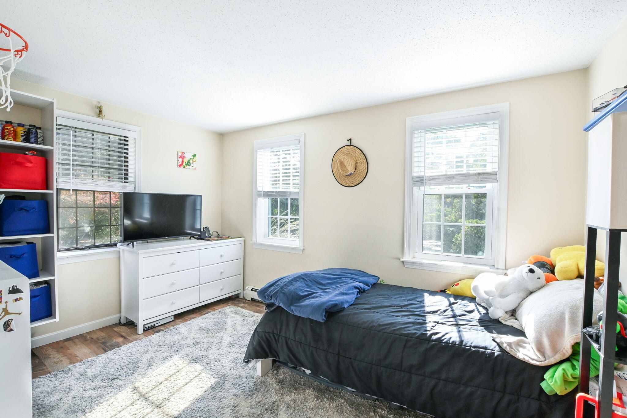 120 Snake Pond Road Forestdale, MA 02644 - Photo 11 of 32 a bedroom with a bed and a television