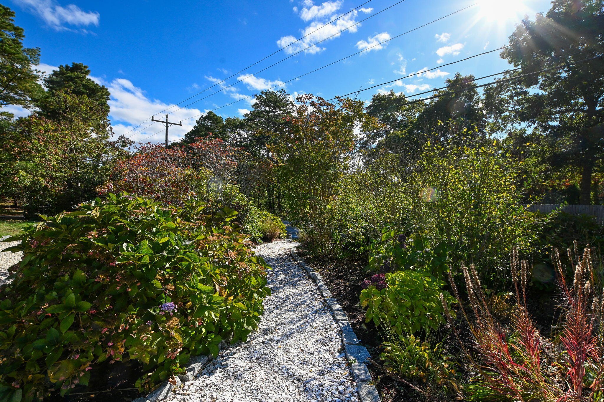 120 Snake Pond Road Forestdale, MA 02644 - Photo 20 of 32 a view of a houses with yard