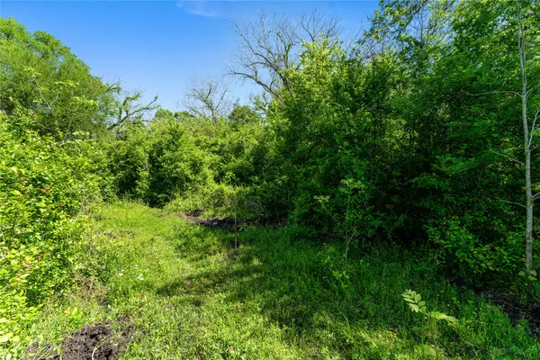 $312,090 | 0 Fm 1161, East Bernard, TX 77435