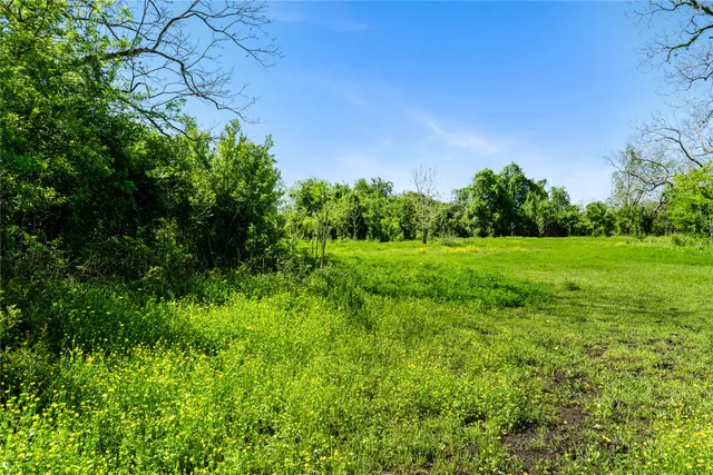 a view of a lush green field